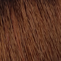 KEEN Крем краска для волос Colour Cream XXL, 100 мл, 7.7