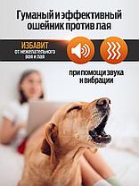 Водонепроницаемый ошейник без тока антилай для маленьких, средних и крупных собак, фото 3