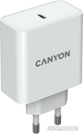 Сетевое зарядное Canyon CND-CHA65W01 - фото 2 - id-p208320123