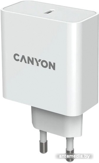 Сетевое зарядное Canyon CND-CHA65W01 - фото 4 - id-p208320123