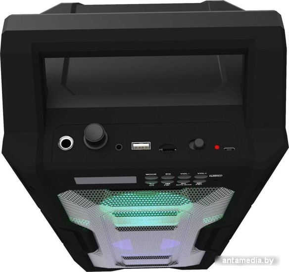 Колонка для вечеринок Ritmix SP-830B - фото 4 - id-p208320354