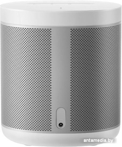 Умная колонка Xiaomi Mi Smart Speaker (русская версия) - фото 3 - id-p208320460