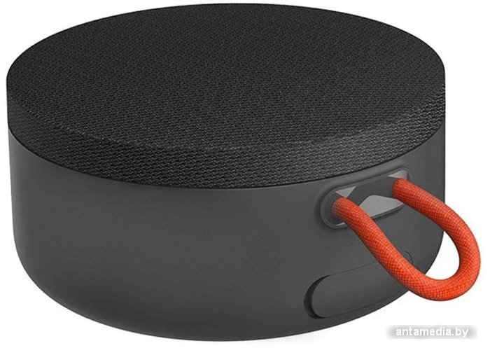 Беспроводная колонка Xiaomi Mi Portable 4W - фото 3 - id-p208320462