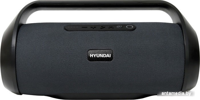 Беспроводная колонка Hyundai H-PAC420 - фото 1 - id-p208320480