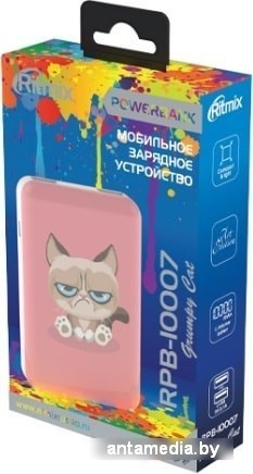 Портативное зарядное устройство Ritmix RPB-10007 (сердитый кот) - фото 3 - id-p208321813