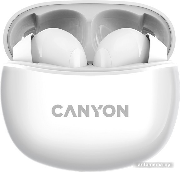 Наушники Canyon CNS-TWS5W