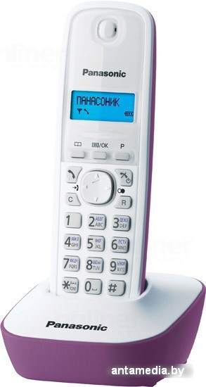 Радиотелефон Panasonic KX-TG1611RUF - фото 1 - id-p208319954