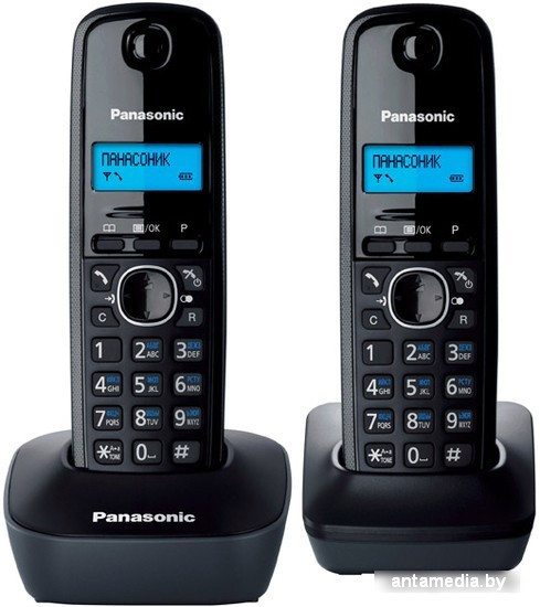 Радиотелефон Panasonic KX-TG1612RUH - фото 1 - id-p208319956
