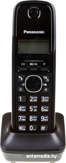 Радиотелефон Panasonic KX-TG1612RUH - фото 4 - id-p208319956