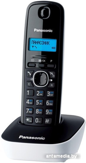 Радиотелефон Panasonic KX-TG1611RUW - фото 1 - id-p208319963