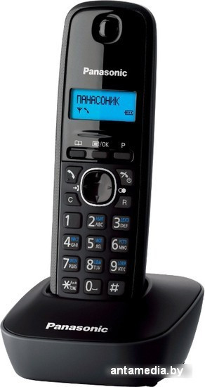 Радиотелефон Panasonic KX-TG1611RUH - фото 1 - id-p208319966
