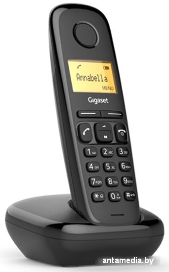 Радиотелефон Gigaset A170 (черный) - фото 3 - id-p208319974