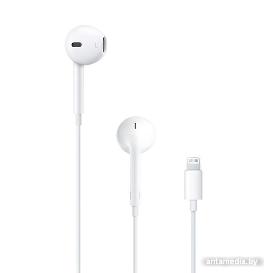 Наушники Apple EarPods с разъёмом Lightning [MMTN2ZM/A] - фото 2 - id-p208320971