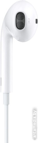 Наушники Apple EarPods с разъёмом Lightning [MMTN2ZM/A] - фото 3 - id-p208320971