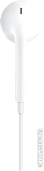 Наушники Apple EarPods с разъёмом Lightning [MMTN2ZM/A] - фото 5 - id-p208320971