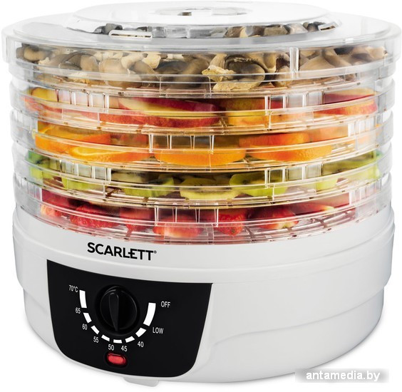 Сушилка для овощей и фруктов Scarlett SC-FD421004 - фото 2 - id-p208326349