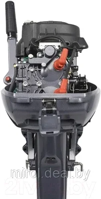 Мотор лодочный Allfa CG T9.9 Max - фото 3 - id-p208358931