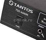 Усилитель Tantos TSo-AA60M выход 60Вт / 100Вт (00-00001841), фото 10