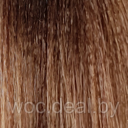 Epica Professional Полуперманентная гель-краска Color Dream, 100 мл, 8.7 - фото 1 - id-p168179606