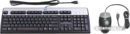 Мышь + клавиатура HP USB Keyboard and Optical Mouse Kit Russian (638214-B21) - фото 1 - id-p208368063