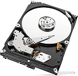 Жесткий диск Seagate Skyhawk 1TB [ST1000VX005], фото 4