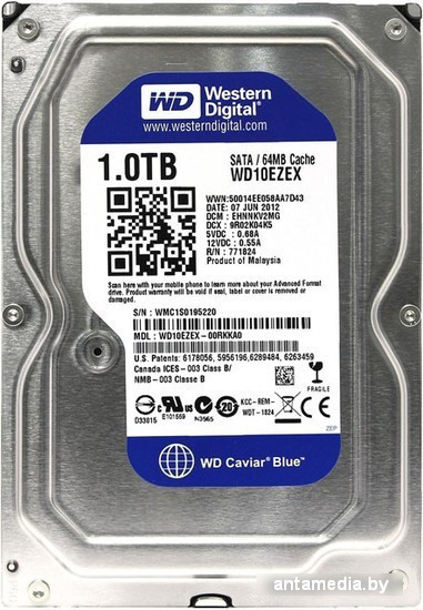 Жесткий диск WD Caviar Blue 1TB (WD10EZEX) - фото 1 - id-p208368628