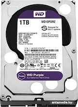 Жесткий диск WD Purple 1TB [WD10PURZ]