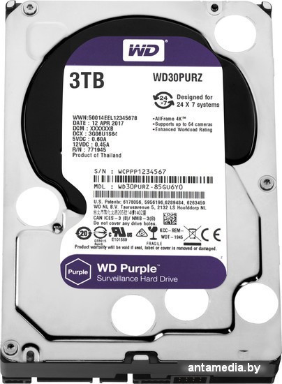 Жесткий диск WD Purple 3TB [WD30PURZ] - фото 1 - id-p208368630