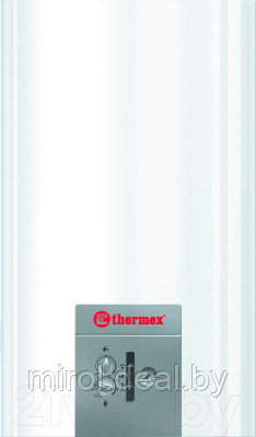 Газовый котел Thermex EuroStyle F 24 - фото 1 - id-p208376575