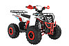 Квадроцикл WELS Thunder  EVO, фото 2