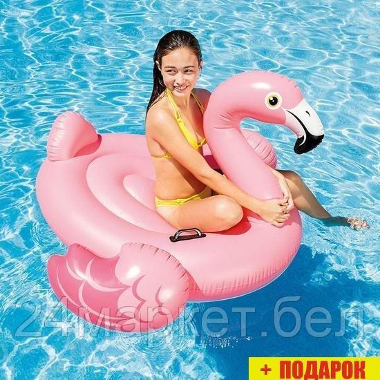 Надувной матрас Intex Flamingo 57558 - фото 2 - id-p208443466