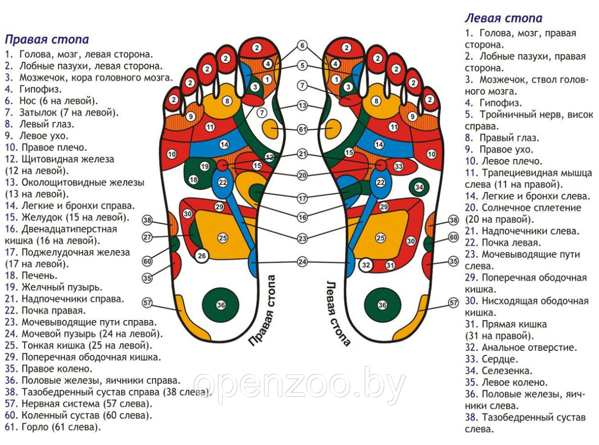Массажный коврик для ног EMS Foot Massager 8 режимов 19 скоростей / Миостимулятор для стоп режимов USB - фото 5 - id-p207595506