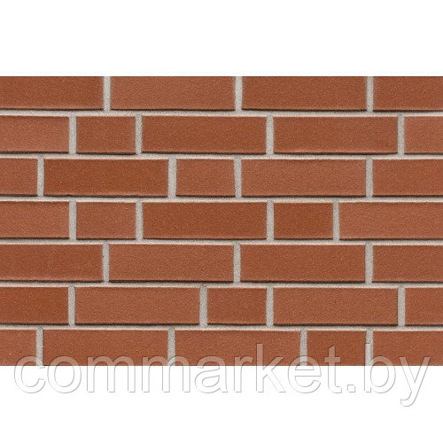 Кирпич клинкерный ABC-klinkergruppe, Münsterland rot-nuanciert glatt NF 0154