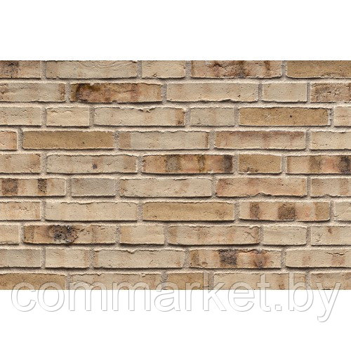 Кирпич клинкерный ABC-klinkergruppe, Manufacta Kalmar Kohlebrand DF 3031