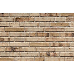 Кирпич клинкерный ABC-klinkergruppe, Manufacta Kalmar Kohlebrand DF 3031