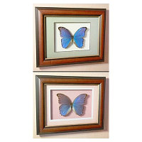 Картина Большая синяя бабочка счастья или Морфо Дидиус 53 д