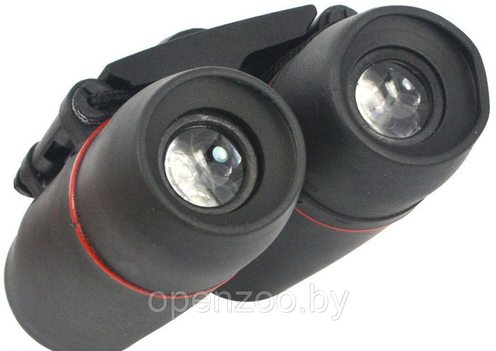 Бинокль Sakura Binoculars Day and Night Vision 30 x 60 - фото 7 - id-p95370995