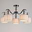 Потолочная люстра Arte Lamp Ibiza A4038PL-5CC, фото 4