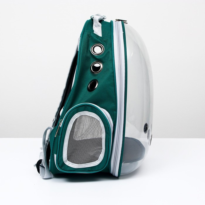 Рюкзак для переноски животных, прозрачный, 31 х 28 х 42 см, сине-зелёный - фото 2 - id-p208564446
