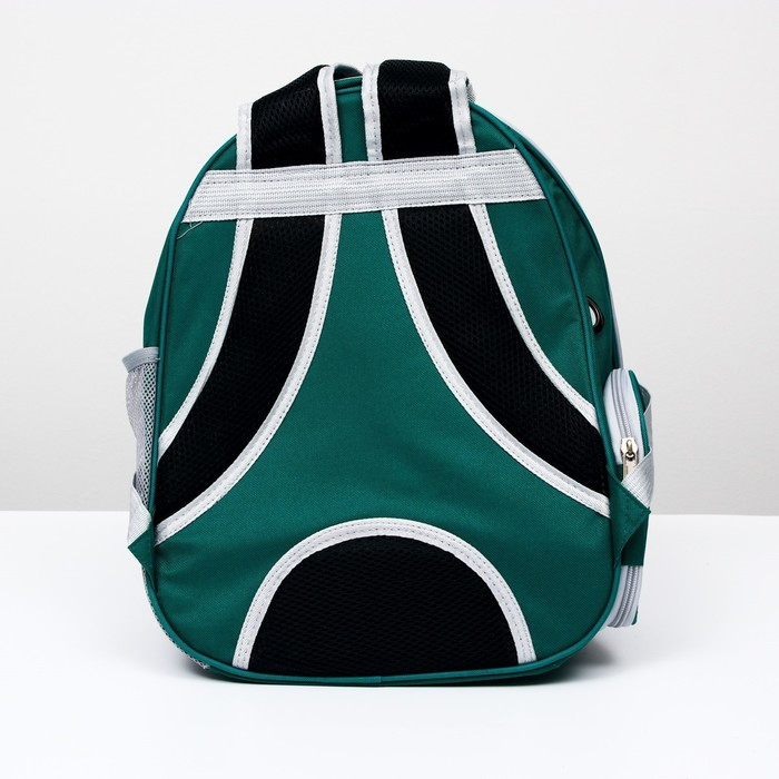 Рюкзак для переноски животных, прозрачный, 31 х 28 х 42 см, сине-зелёный - фото 4 - id-p208564446