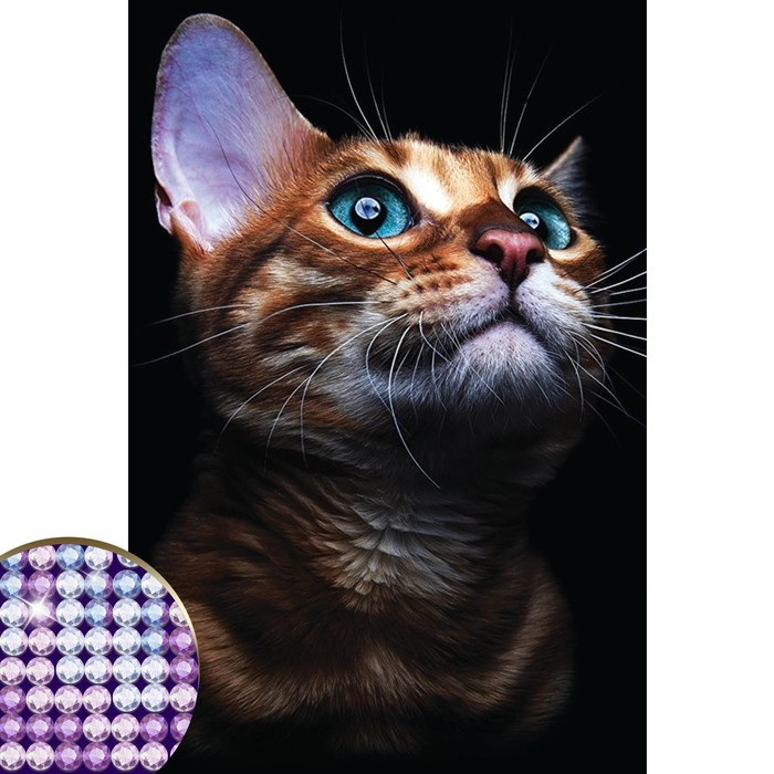 Алмазная мозаика с частичным заполнением «Взгляд кошки» 20х30 см, на холсте - фото 3 - id-p208570997