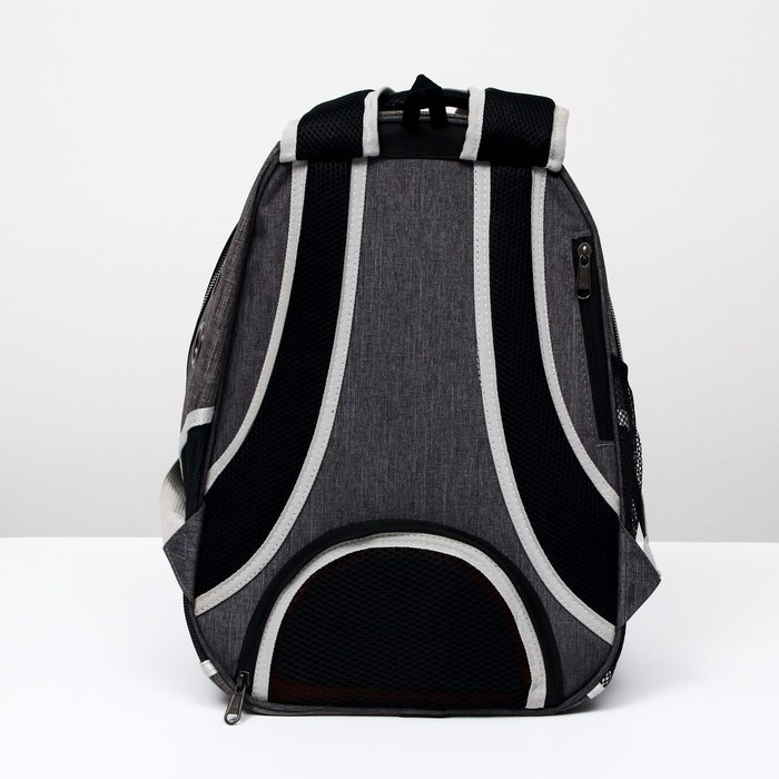 Рюкзак для переноски животных прозрачный, 31 х 28 х 42 см, голубой - фото 4 - id-p208564448