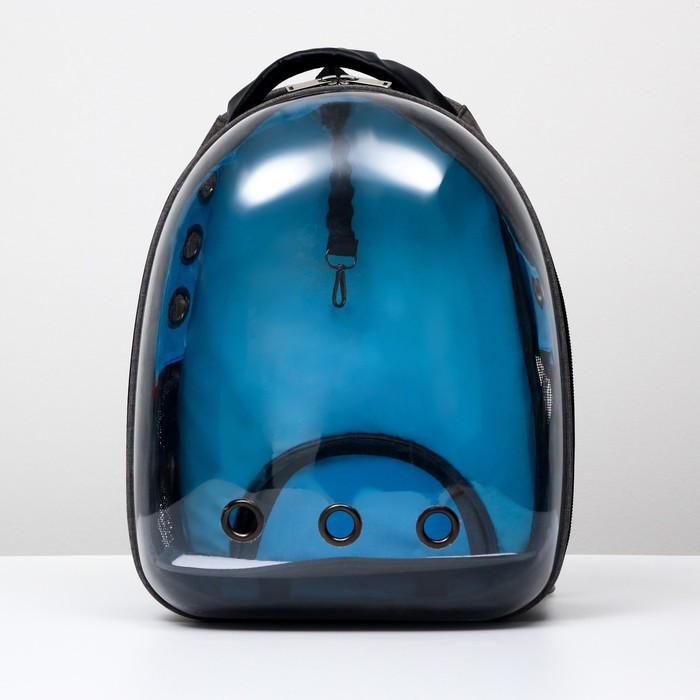 Рюкзак для переноски животных прозрачный, 31 х 28 х 42 см, голубой - фото 10 - id-p208564448