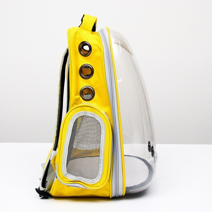 Рюкзак для переноски животных "Котик", прозрачный, 34 х 25 х 40 см, жёлтый - фото 2 - id-p208564449