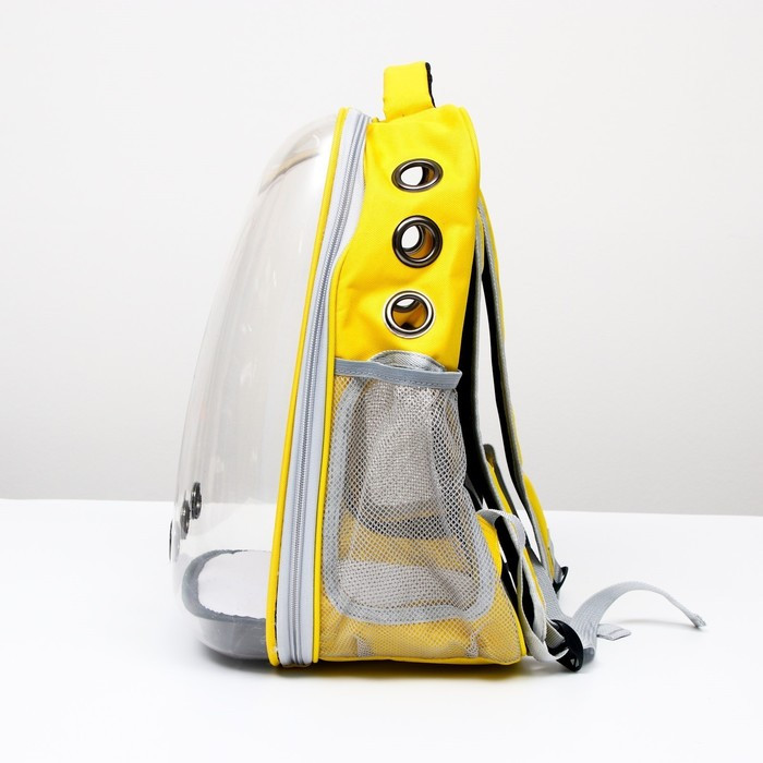 Рюкзак для переноски животных "Котик", прозрачный, 34 х 25 х 40 см, жёлтый - фото 3 - id-p208564449