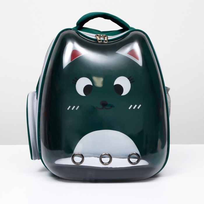 Рюкзак для переноски животных "Котик", прозрачный, 34 х 25 х 40 см, зелёный - фото 1 - id-p208564450