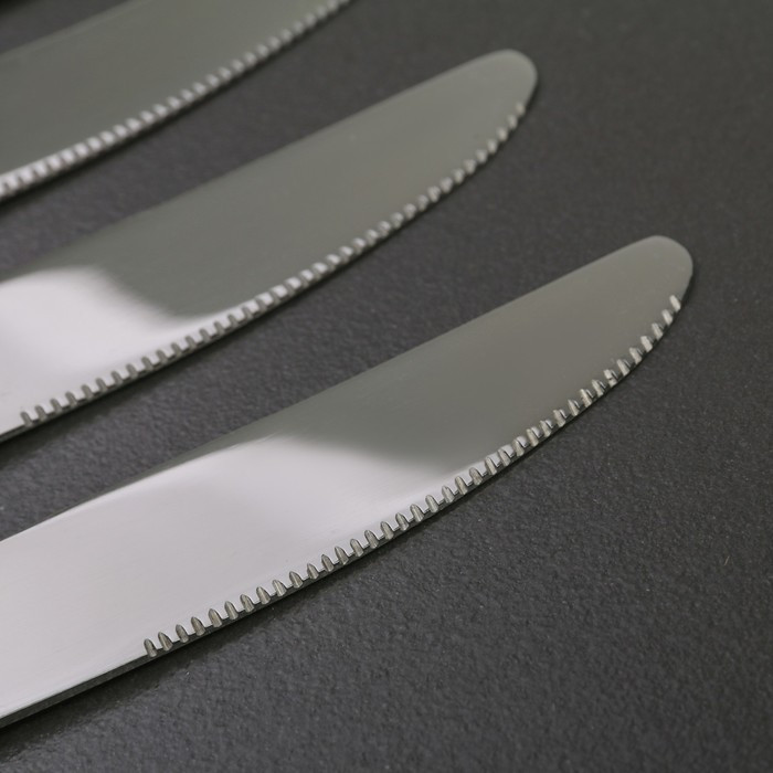 Набор ножей столовых из нержавеющей стали Доляна «Капля», h=23 см, 6 шт, цвет серебряный - фото 2 - id-p208573152
