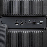 Переносная напольная акустическая система c караоке, Bluetooth, microSD, USB и FM радио Dialog Oscar AO-300, фото 6