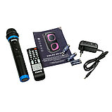 Переносная акустическая система c караоке, Bluetooth, microSD, USB и FM радио Dialog Oscar AO-250, фото 2
