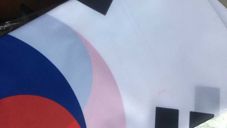 Флаг Республики Южная Корея (75х150 см УЦЕНКА) - фото 1 - id-p208603741
